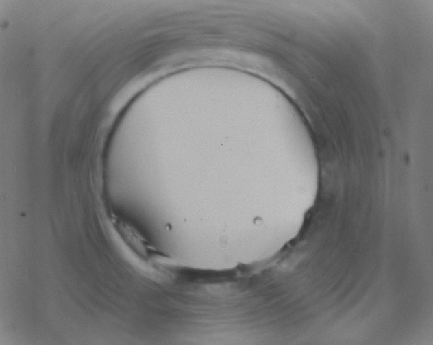 X0000077371523200611101651