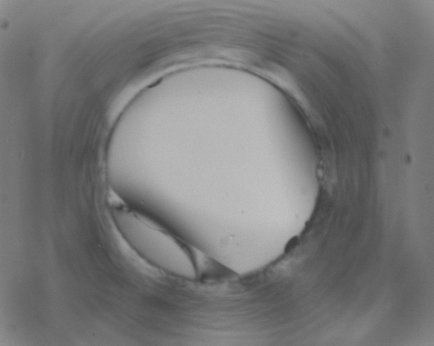 X0000077371524200611101651