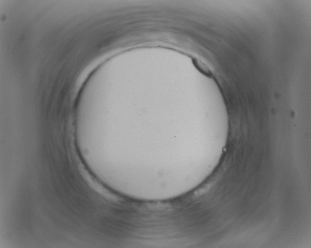 X0000077371526200611101651