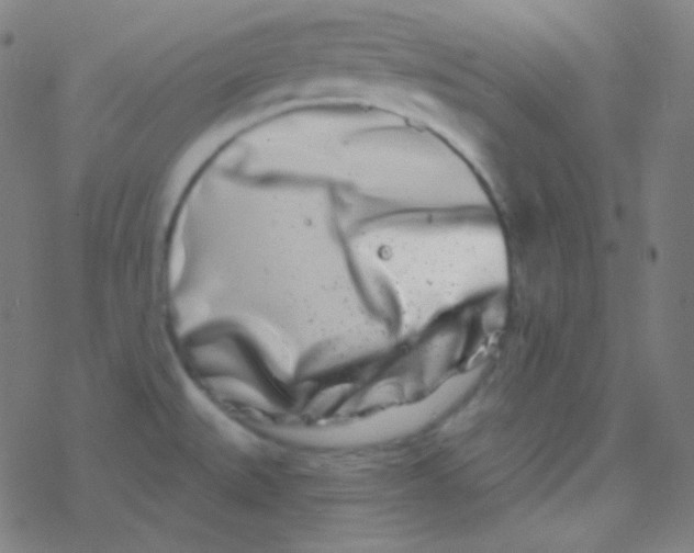 X0000077371527200611101651