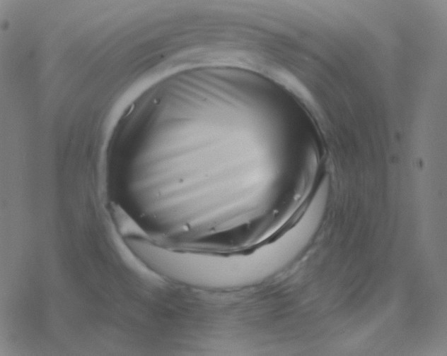 X0000077371528200611101651