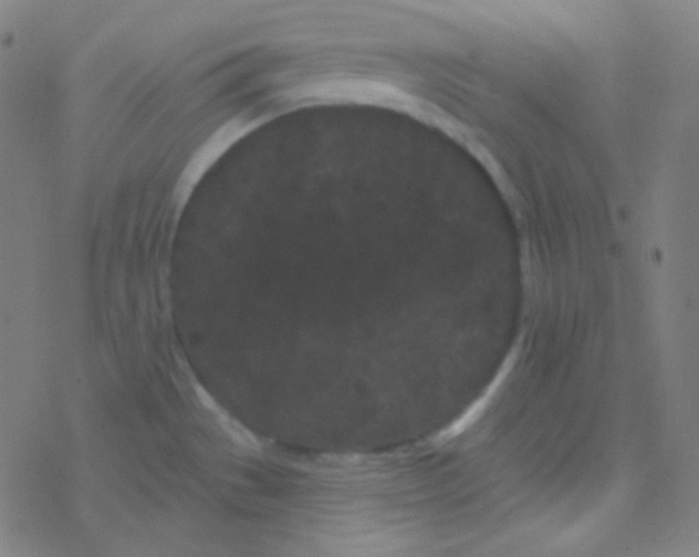 X0000077371529200611101651