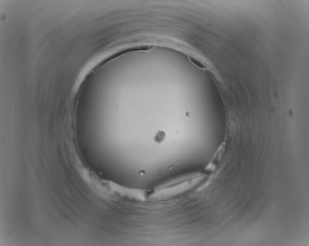 X0000077371530200611101651