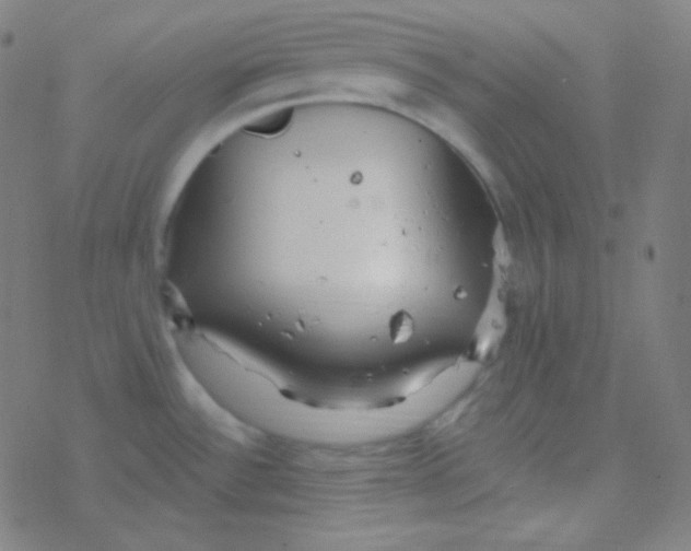 X0000077371532200611101651