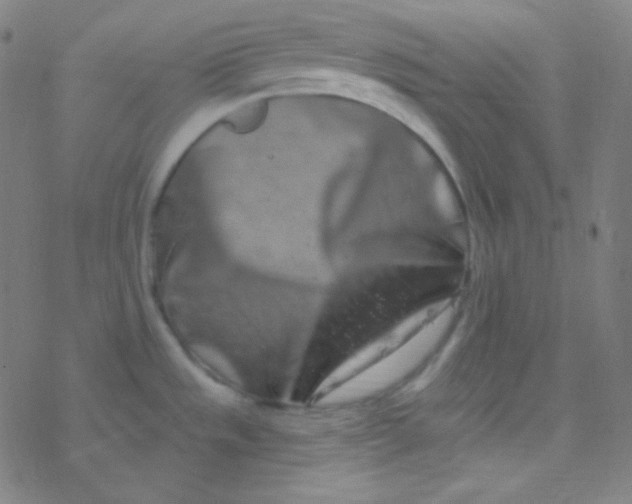 X0000077371533200611101651