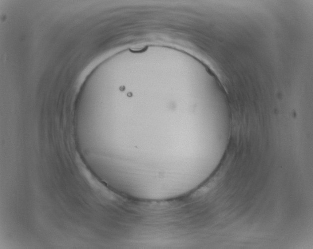 X0000077371534200611101651