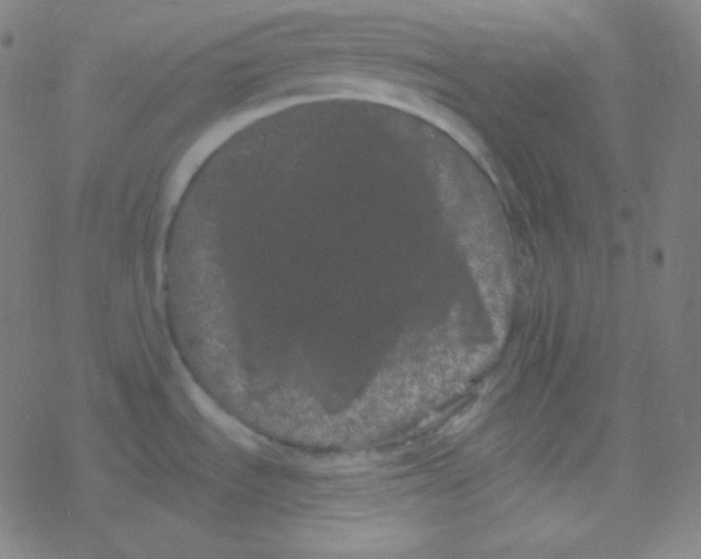 X0000077371535200611101651