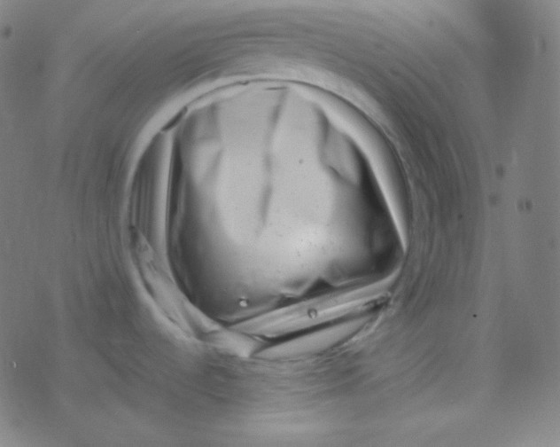 X0000077371536200611101651