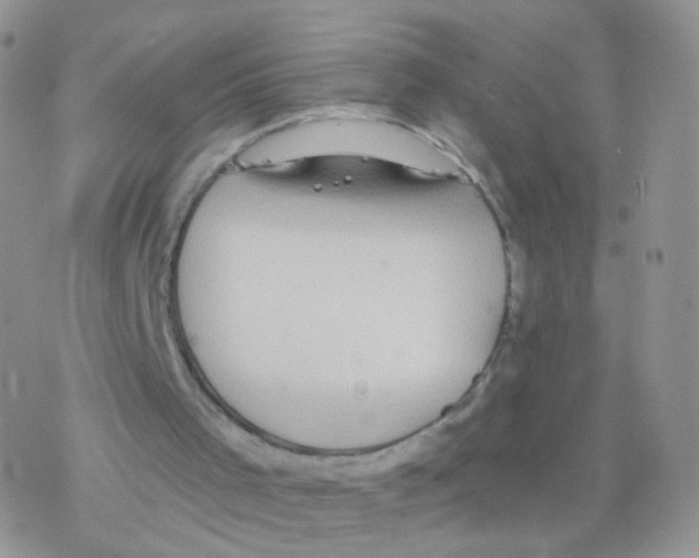 X0000077370001200611172000