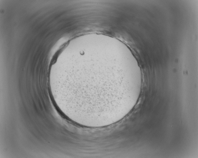 X0000077370003200611172000