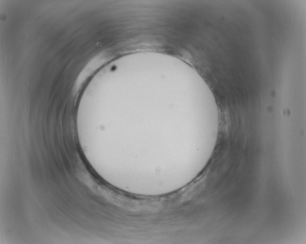 X0000077370004200611172000