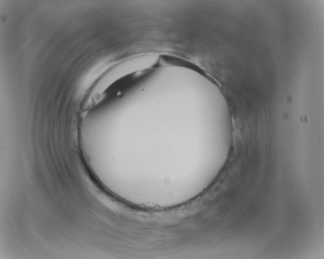 X0000077370005200611172000