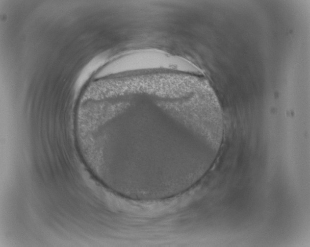 X0000077370006200611172000