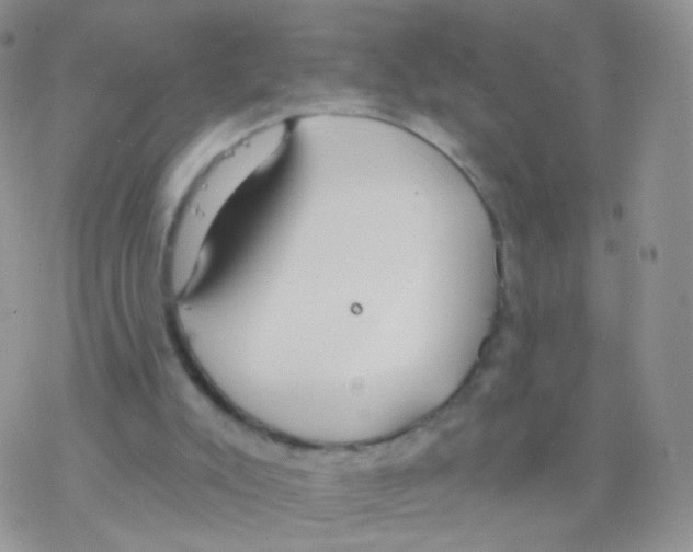 X0000077370007200611172000