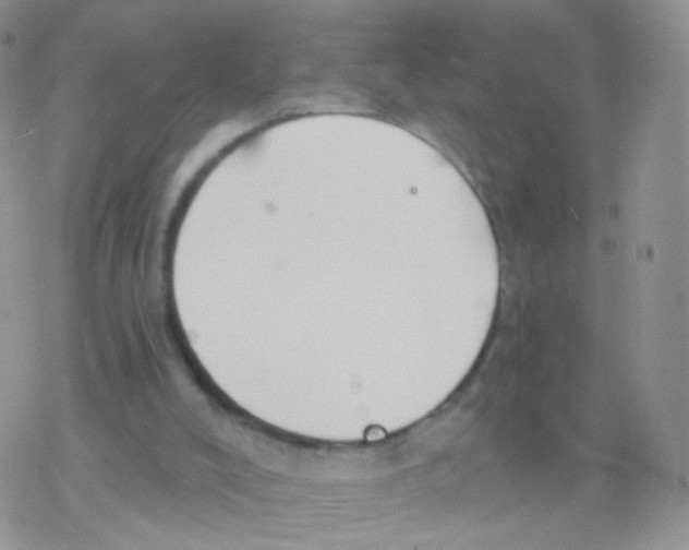 X0000077370008200611172000