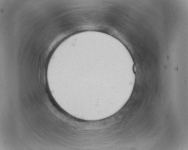 X0000077370011200611172000