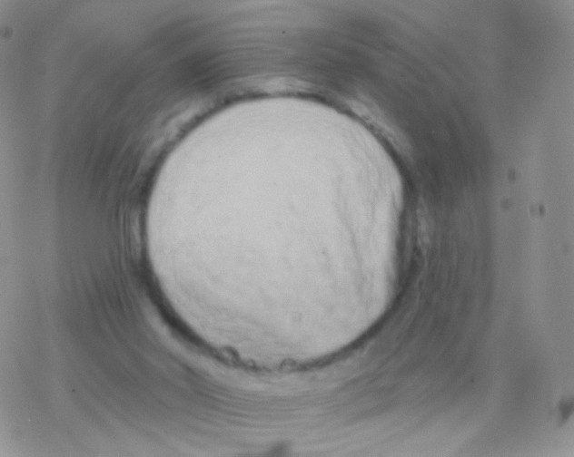 X0000077370014200611172000