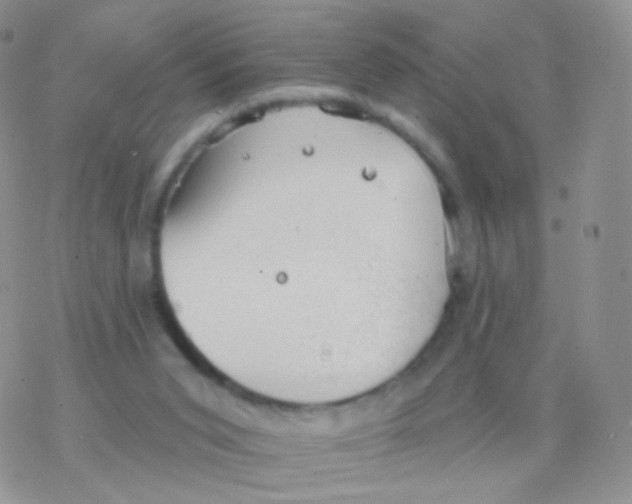 X0000077370015200611172000