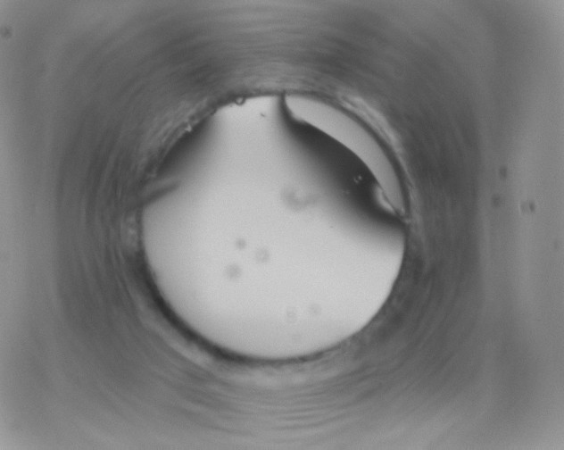 X0000077370017200611172000