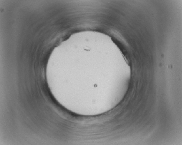 X0000077370021200611172000