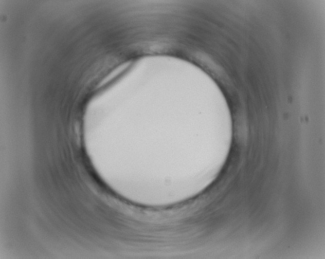 X0000077370022200611172000