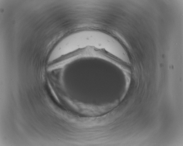 X0000077370023200611172000