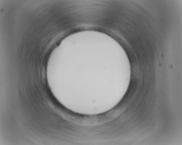 X0000077370024200611172000