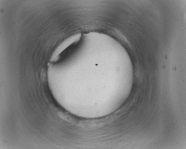 X0000077370025200611172000