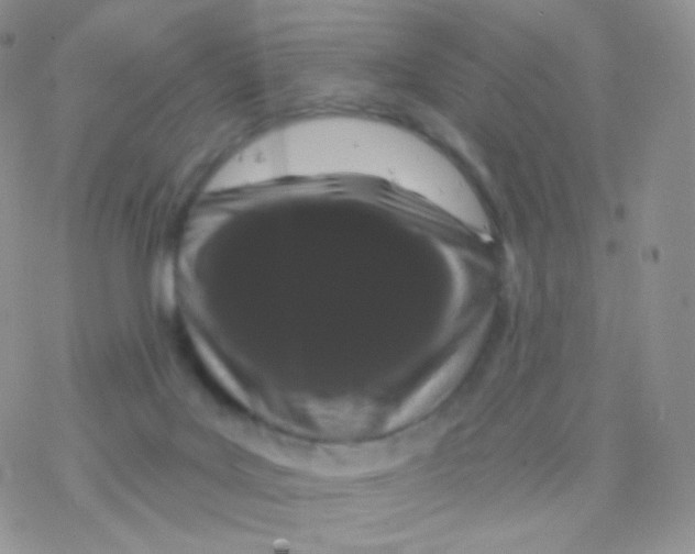 X0000077370027200611172000