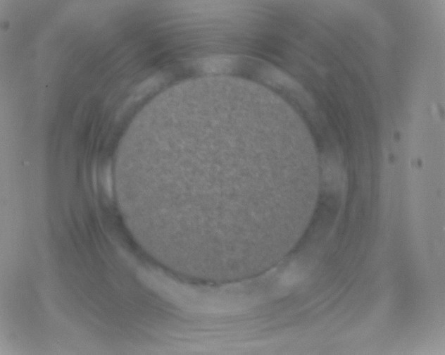 X0000077370028200611172000