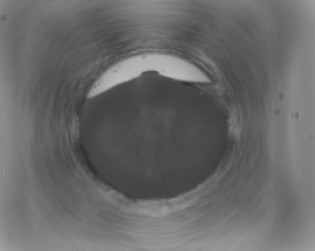 X0000077370029200611172000