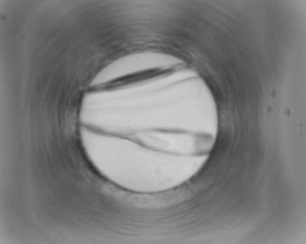 X0000077370030200611172000