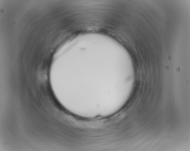 X0000077370032200611172000