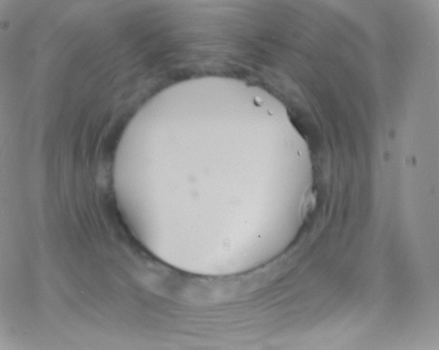 X0000077370033200611172000