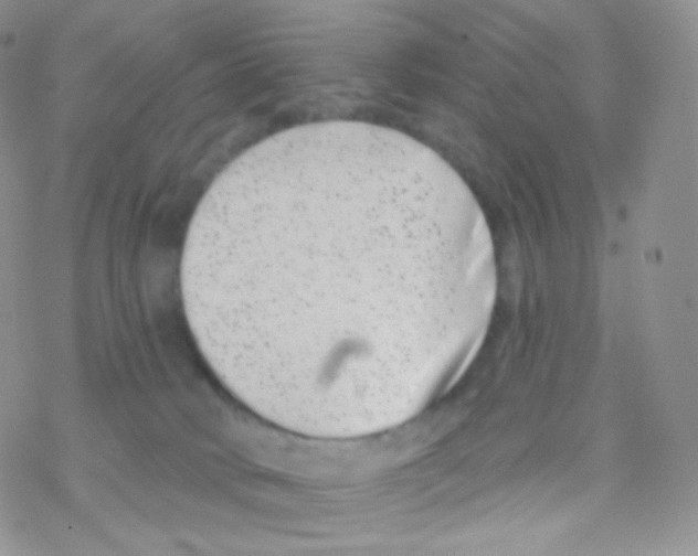 X0000077370034200611172000