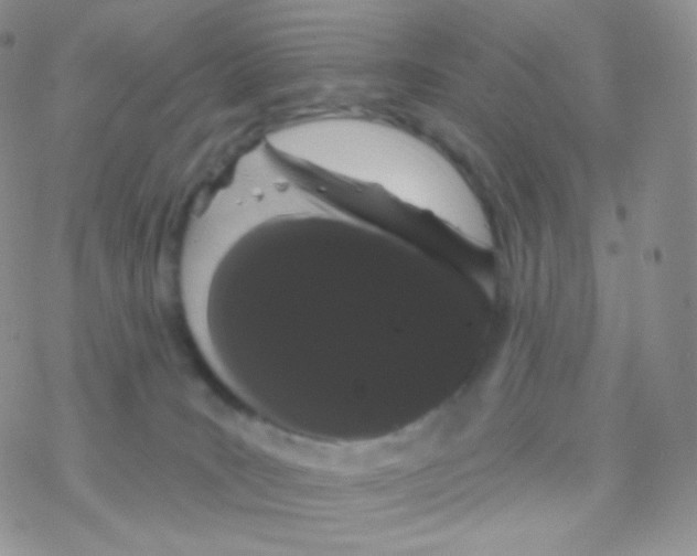 X0000077370035200611172000