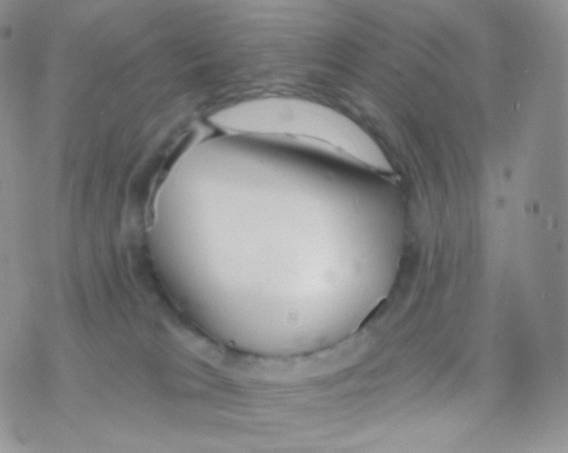 X0000077370037200611172000