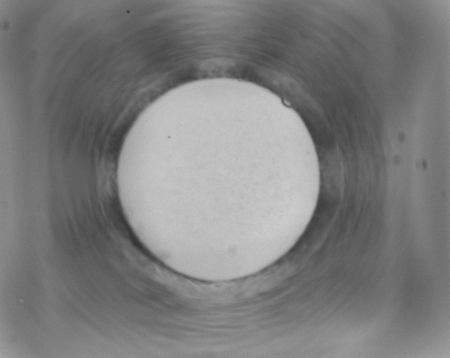 X0000077370038200611172000