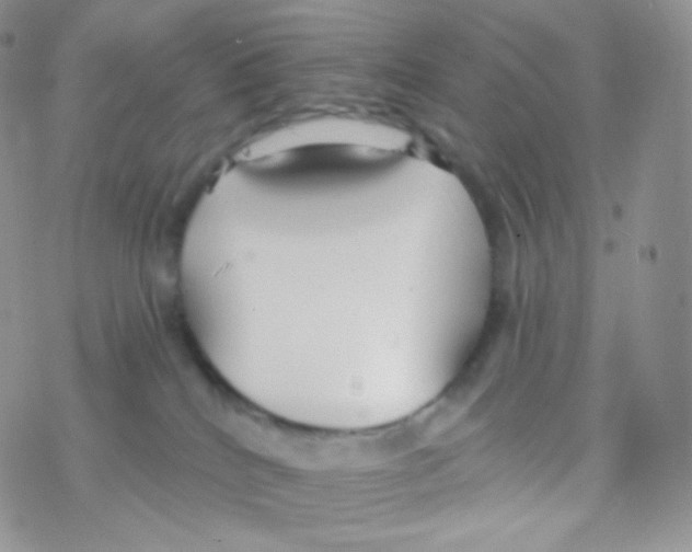 X0000077370040200611172000