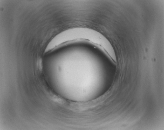 X0000077370041200611172000