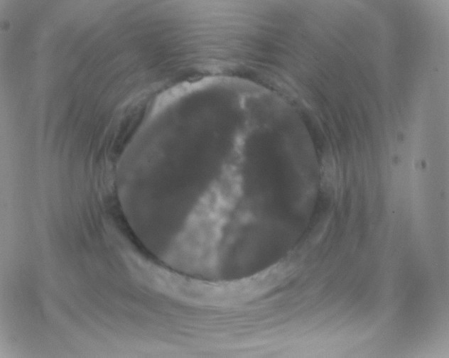 X0000077370043200611172000