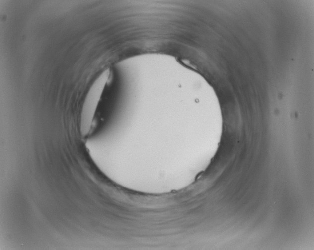 X0000077370044200611172000