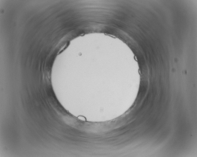 X0000077370045200611172000