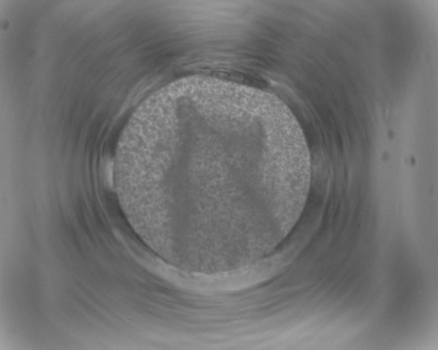 X0000077370046200611172000