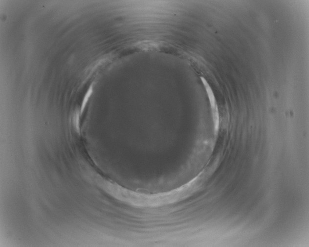 X0000077370047200611172000