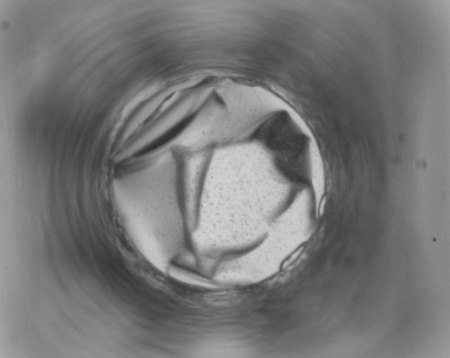 X0000077370050200611171959