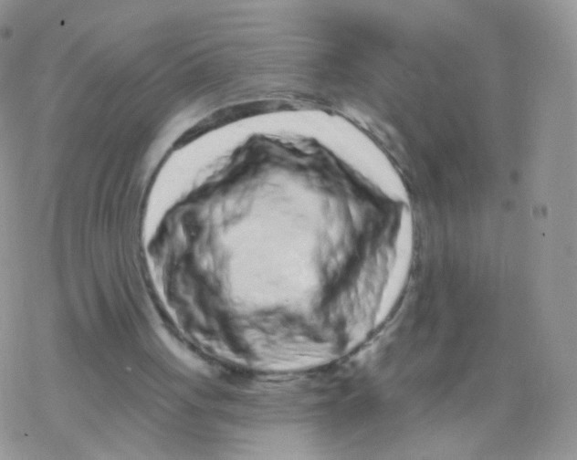 X0000077370051200611171959