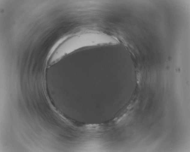 X0000077370052200611171959