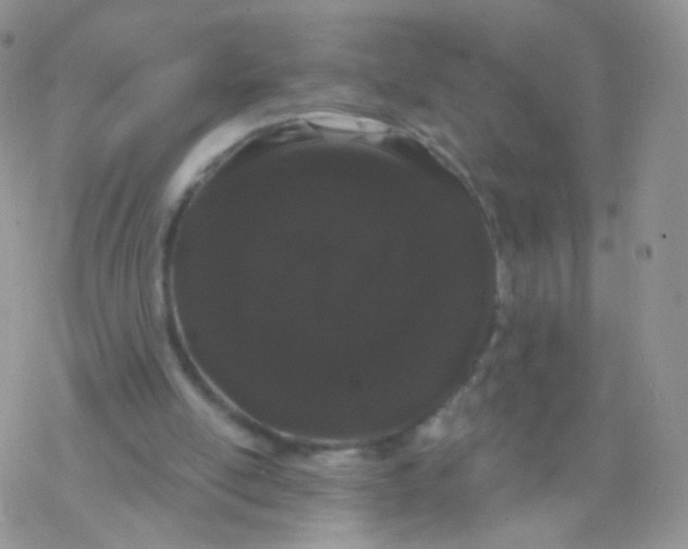 X0000077370054200611171959