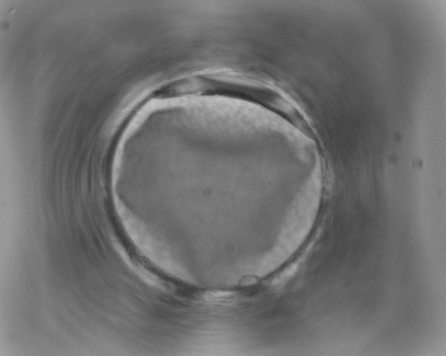 X0000077370055200611171959